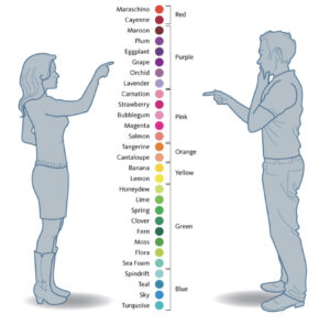 Percepcja kolorów kobieta vs mężczyzna ,RSMB Gabriela Dmowska, Doradztwo wizerunkowe i coaching,photo by ColourMeBeautiful